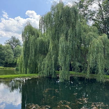 Restauracja I Noclegi Izba Rybacka W Krainie Wygaslych Wulkanow Podgorki Екстер'єр фото