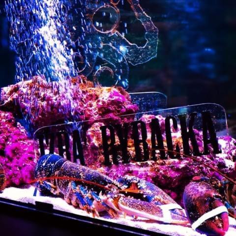 Restauracja I Noclegi Izba Rybacka W Krainie Wygaslych Wulkanow Podgorki Екстер'єр фото